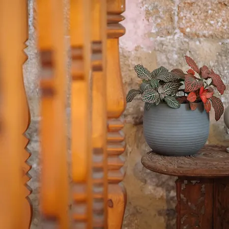Vakantiehuis Mayelia Cozy House In The Medieval Town
